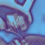 Travel community Bassics
