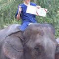 lachlanhensey's Travel Journals