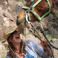 JessicaGoldstein's Travel Journals