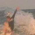 Surfrear_el_Mundo's Travel Journals