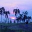 Travel community Brazil 2009 Summer