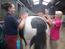 Travel community EQUINE SUMMER PROGRAM IN SCOTLAND 2012