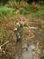 Travel community ECOLOGICAL CONSERVATION SUMMER PROGRAM IN SCOTLAND 2013