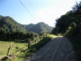 journal photo
