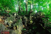 Featured Travel Photo - Cuc Phuong national park