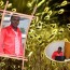 User Profile Pic