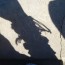 User Profile Pic