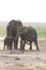 Travel community Back to Africa