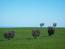 Travel community GREENITALIAN - Ecofriendly Italian language courses