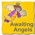Awaiting Angels Organization