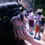 User Profile Pic