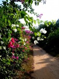 Featured Travel Photo - 