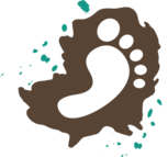EDventure International